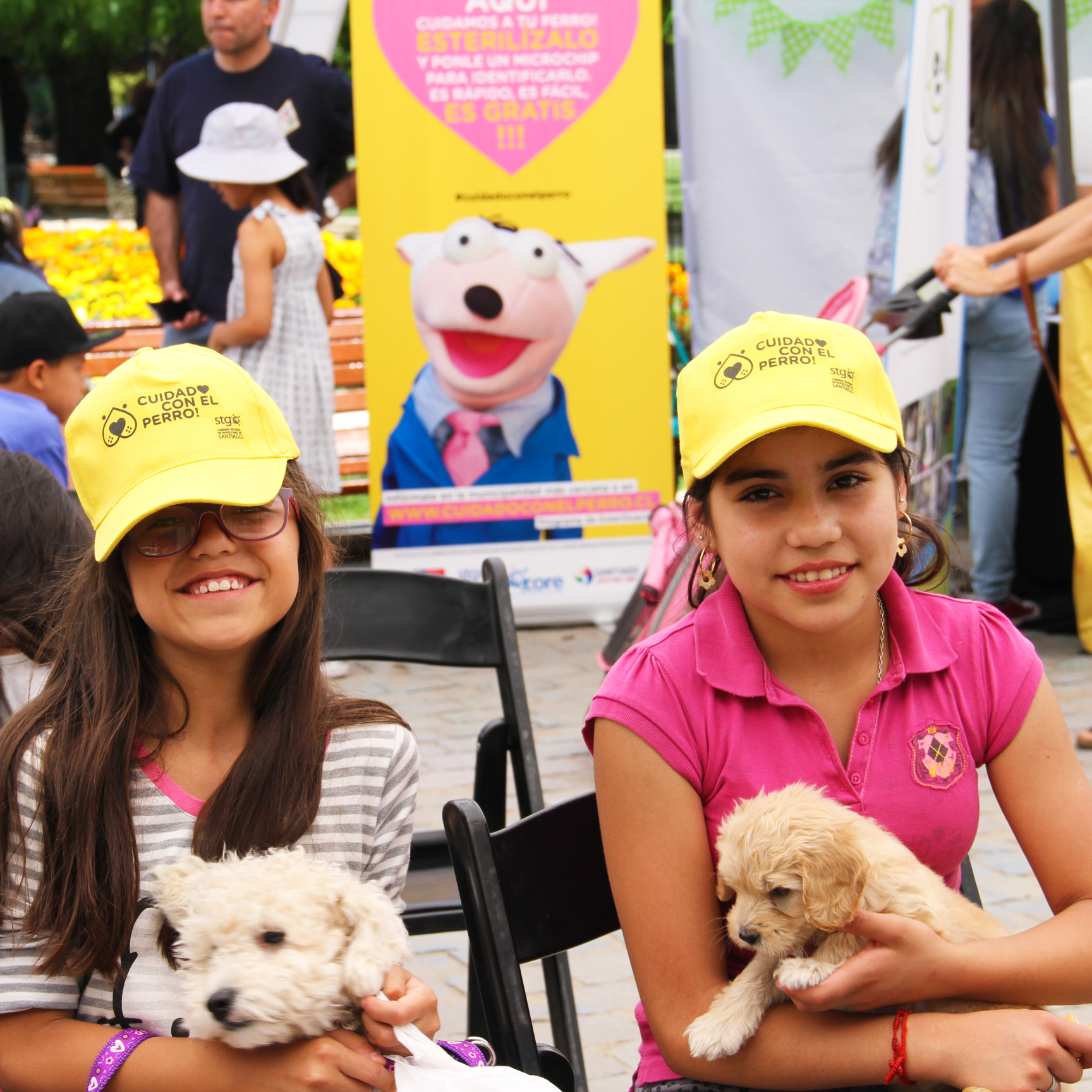 «Cuidado con el Perro» celebra su primer aniversario