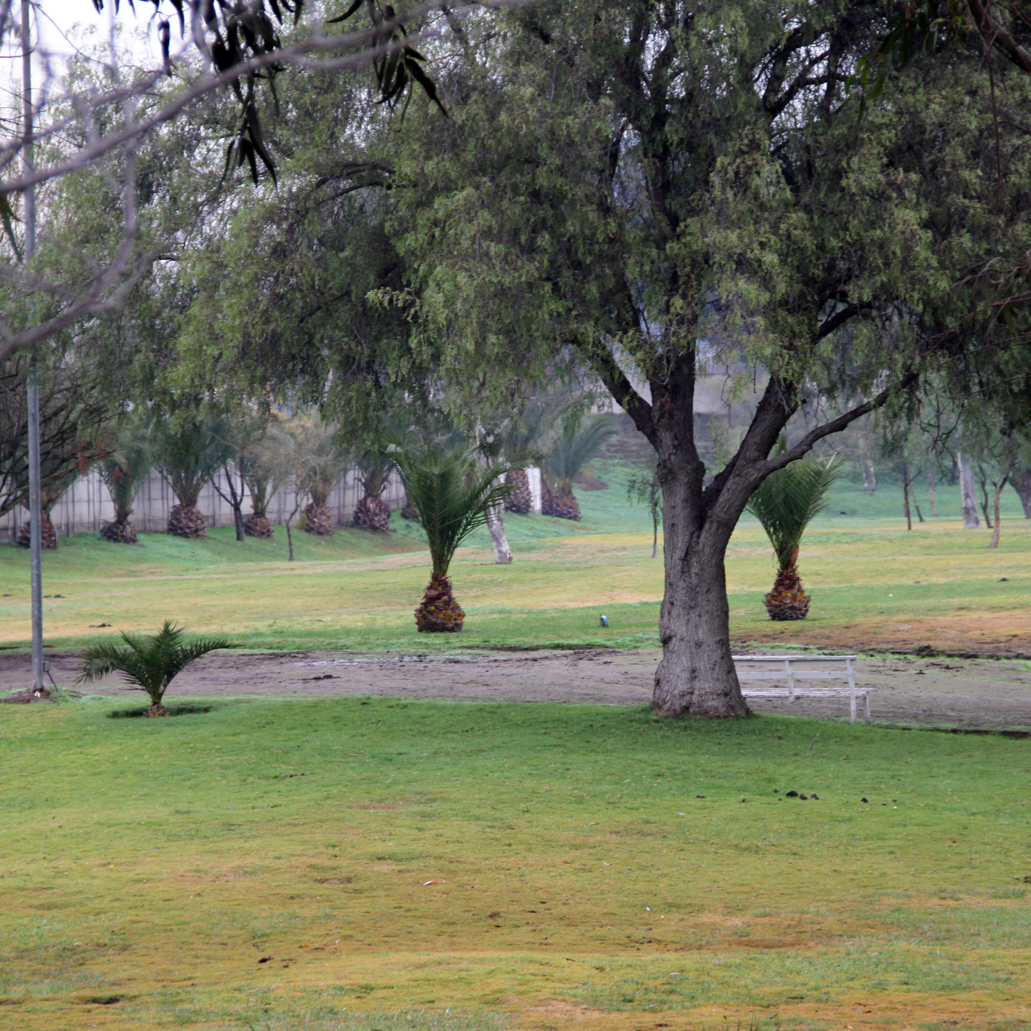 Avanzan obras para 2nda Etapa del Parque Lo Errázuriz