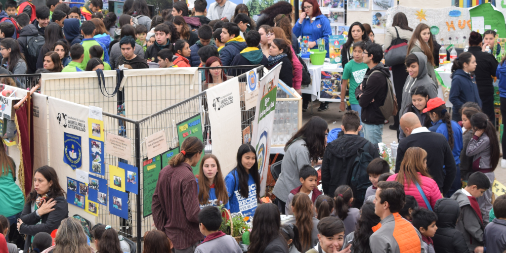 feria ambiental y sustentabilidad