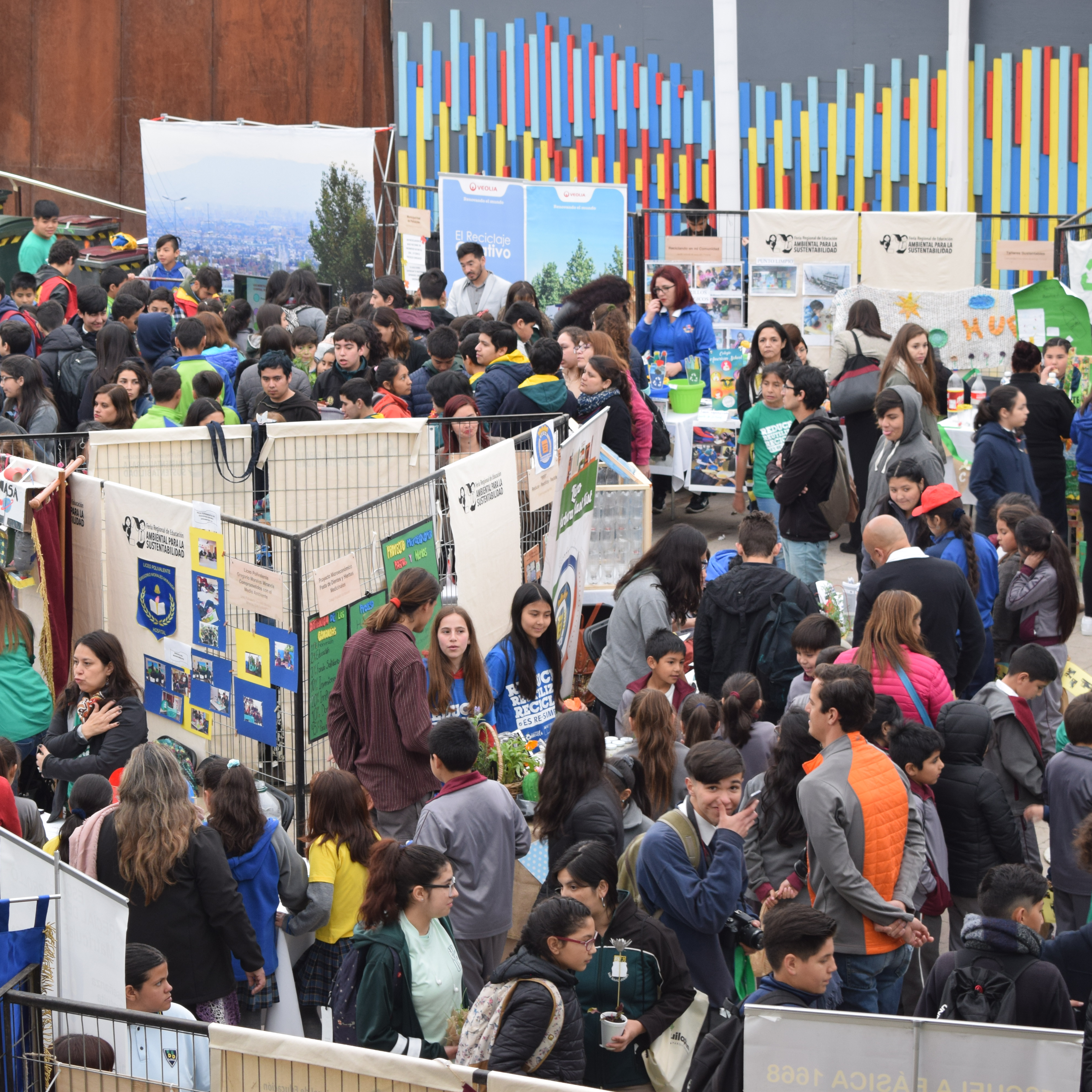 feria ambiental y sustentabilidad