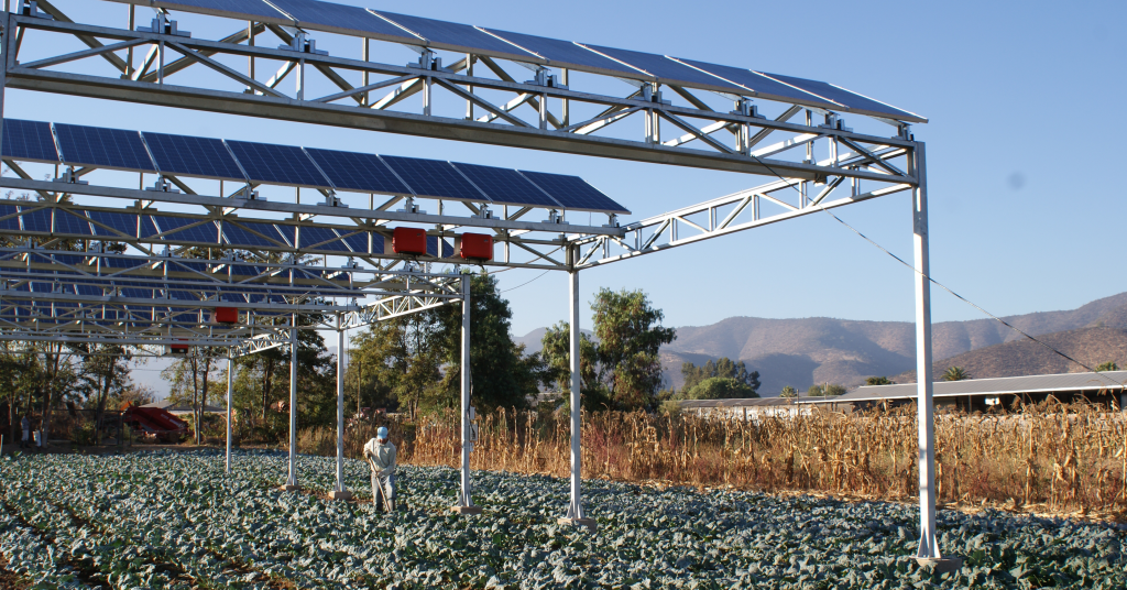 AGRICULTURA SUSTENTABLE