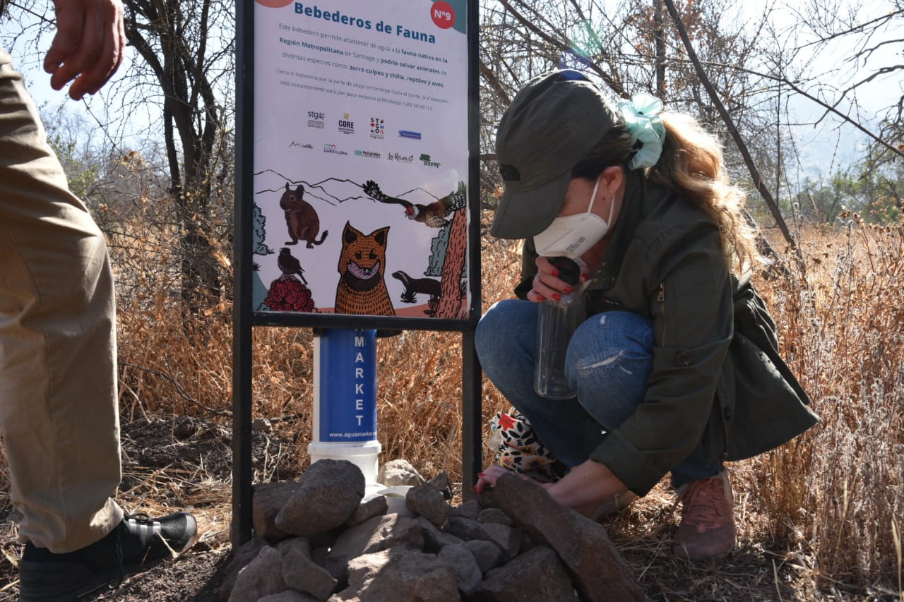 Gobernadora (s) de la Región Metropolitana revisa en terreno la instalación de bebederos de fauna en parques de la ciudad