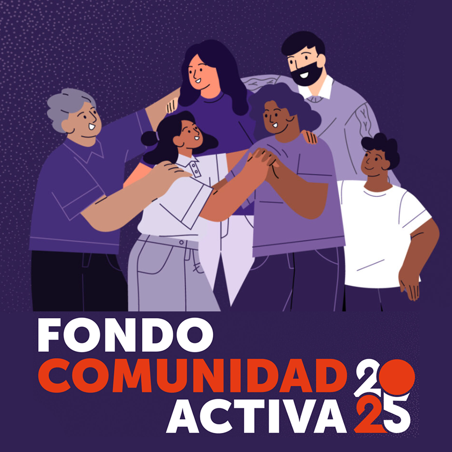 Resultados de admisibilidad  de los proyectos postulados al Fondo Comunidad Activa 2025